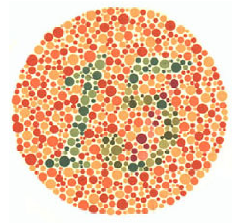 Plaka 8: Normal görüşlüler 15, kırmızı-yeşil renk körleri 17 sayısını görmeli.