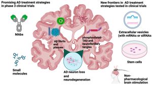 New Hope Emerges For Alzheimer's Treatment Through Innovative Research