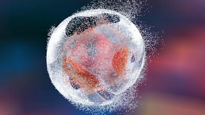 Non-Apoptotik Hücre Ölümü Mekanizmaları: Nekroz Nedir? Hücreleri Öldüren Patolojik Süreçler Nelerdir?