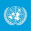 Birleşmiş Milletler - BM
