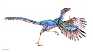 Ara Form Olarak Bilinen Archaeopteryx, Tam Bir Kuş Değil mi?