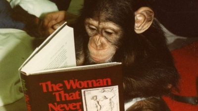 Okumanın Evrimi - 2. Bölüm: Okuyan Maymunun Gizemi