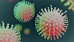 Sitokin Fırtınası: Koronavirüsle Mücadelede, Bağışıklık Sisteminin "Dosttan Düşmana" Dönüştüğü An!