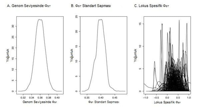 Şekil 3: Popülasyonların farklılaşmasının istatistiği, her bir lokusun farklılaşmasının yorumlanabilmesi için olasılıksal bir çerçeve sunan Bayes metoduyla tahmini olarak hesaplanabilir. Kuzey Amerika’daki Lycaeides kelebeği popülasyonları arasındaki farklılaşma tahminen hesaplanmış (Gompert ve ark. 2010) ve ΦST’nin genom seviyesinde tahminiyle (a) ve standart sapmasıyla (b) özetlenmiştir. Bu analiz, genom boyunca görülen, bir kısmı muhtemelen ıraksak doğal seçilim tarafından şekillendirilmiş olan yüksek varyasyonu resimlemektedir. 2010 Nature Education. Tüm hakları saklıdır.