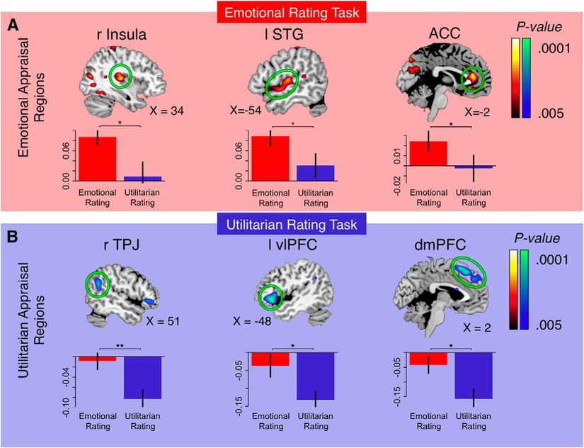 Duygusal Değerlendirme (Emotional Rating) kısmında beynin insula, STG ve ACC bölümleri daha aktifken Faydacı Değerlendirme (Utilitarian Rating) yapılırken beynin temporal/paryetal kesişim yeri (TPJ) ve dorsomedial prefrontal korteks (dmPFC) aktivitesinde artış gözlemlenmiştir.