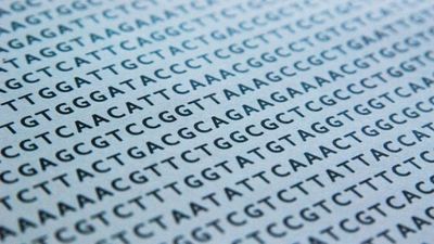 Altıncı Nükleotit: Sitozinin Bilinmeyen Versiyonu, Gözden Kaçan DNA Dizilerini Bulmamızı Sağlayabilir!