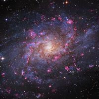  The Hydrogen Clouds of M33 