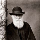 Ahmet Darwin