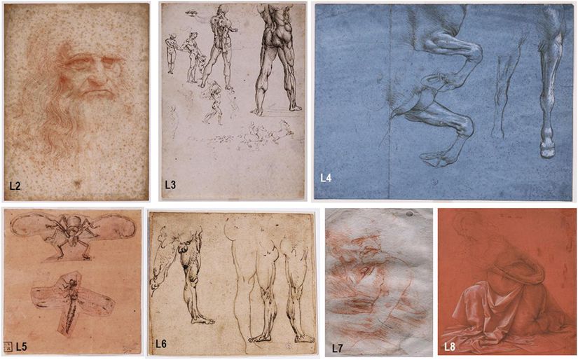 Leonardo da Vinci’nin incelenen çizimleri. Halihazırda Torino Kraliyet Kütüphanesi'nde bulunan çizimler şunlardır: "Autoritratto" (L2), "Nudi per la battaglia di Anghiari" (L3), "Studi delle gambe anteriori di un cavallo ” (L4), “ Studi di insetti ” (L5) ve “ Studi di gambe virili ”recto,“ Figura presso il fuoco ”verso" (L6). Roma'daki Corsinian Kütüphanesi'nde saklanan çizimler ise şunlardır: “Uomo della Bitta” (L7) ve “Studio di panneggio per una figura inginocchiata” (L8).