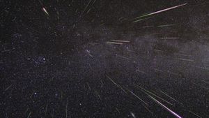 Perseid Meteor Shower Dazzles Skywatchers Worldwide