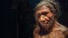 Afrikalılar da Neandertal Genleri Taşıyor; Ancak Bu Genlerin Kökeni Göçler!
