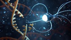 Nanoteknoloji, Rejeneratif İlaçları Nasıl Geliştirebilir?