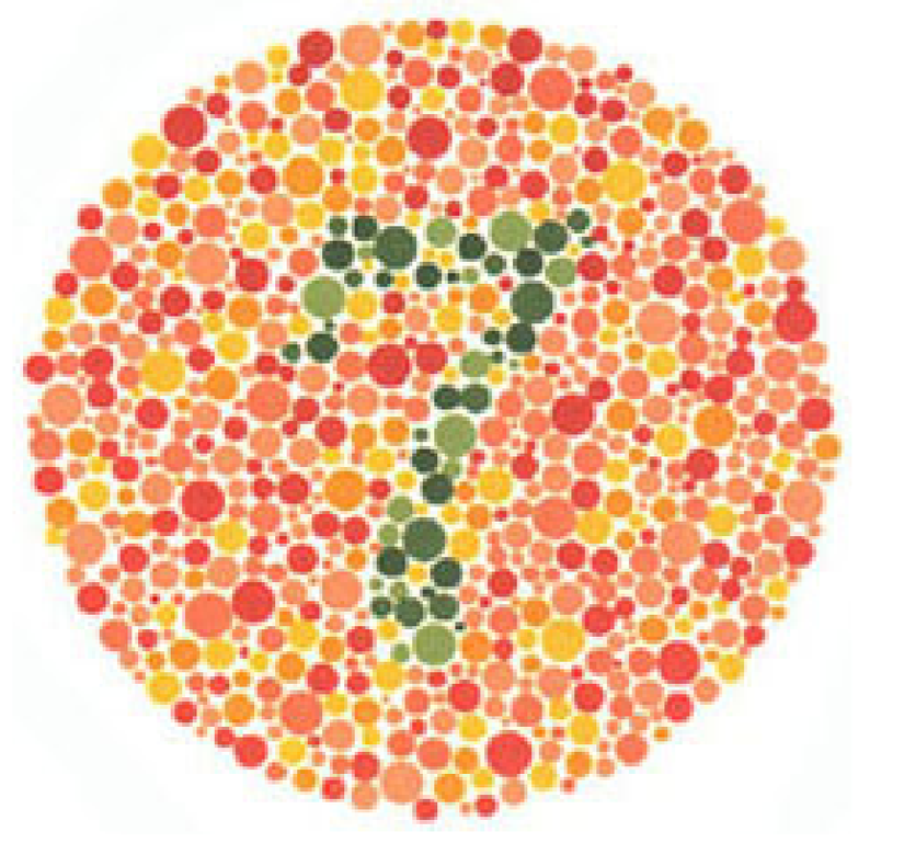 Plaka 15: Normal görüşlüler 7 görürler, kırmızı-yeşil renk körleri hiçbir sayı görmez veya bir sorun olduğunu düşünürler.