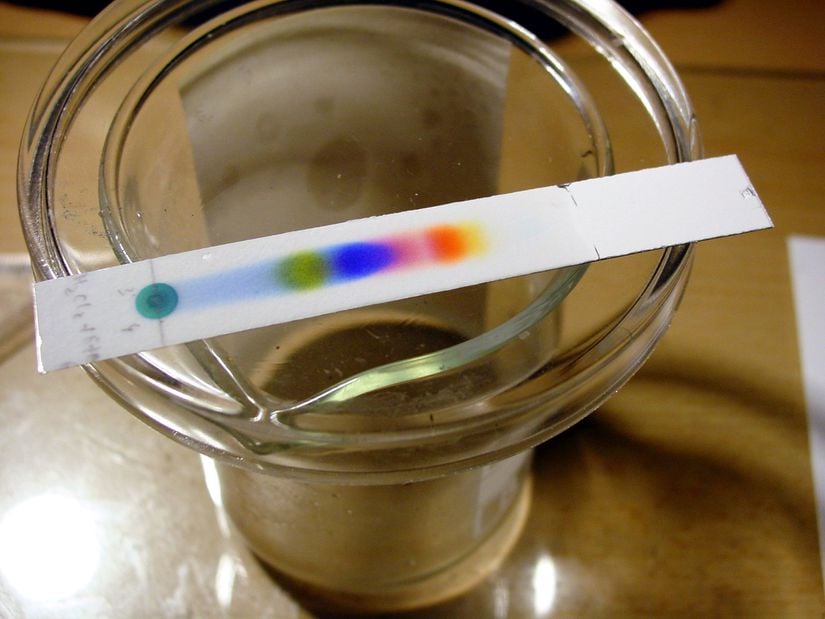 TLC tekniği ile pigmentlerine ayrıştırılmış bir boya örneği