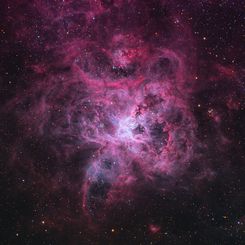  The Tarantula Nebula 