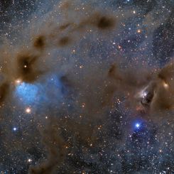  Young Stars and Dusty Nebulae in Taurus 