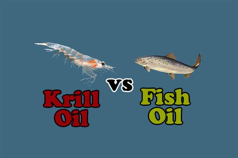 Krill Yağı Karşı Balık Yağı