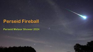 Stargazers Marvel At Spectacular Perseid Meteor Shower