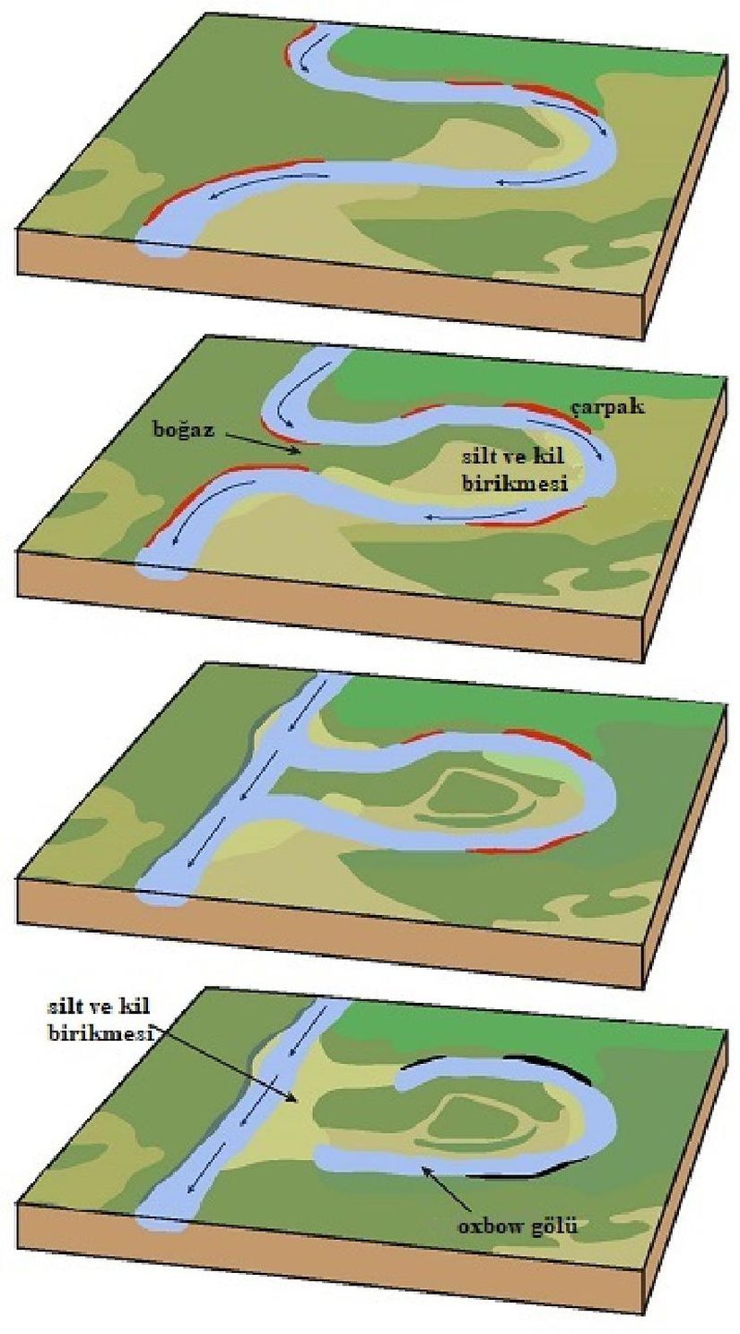 Kırmızı alanlar çarpakları göstermektedir. Çarpakların aşınması sonucu nehir daha da kıvrımlaşarak birbirine yaklaşır ve oxbow gölü oluşur.