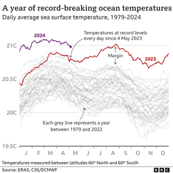 Dünya Okyanusları Rekor Kıran Sıcaklıklardan Muzdarip.