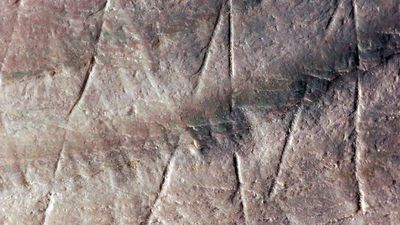 Homo erectus, Dünya'nın En Eski Karalama Çizimlerini Yaptı!
