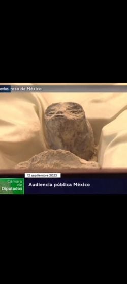 Meksika'da bulunan uzaylı fosillerinin doğruluğu nedir?