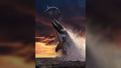 66 milyon yıl önce dişleri kırılmış acımasız deniz canavarı denizlerde sinsi sinsi dolaştı.