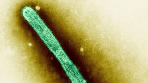 First Human Case Of HN51 Raises Pandemic Fears