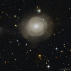  Shells of Stars in Elliptical Galaxy PGC 42871 