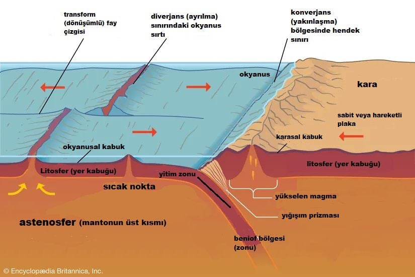 Levhaların litosferdeki subdiksiyon (batma/dalma) hareketini gösteren bir infografik. Görseli Türkçeleştiren Ahmet Öztürk'e teşekkür ederiz.