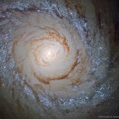  Starburst Galaxy M94 from Hubble 