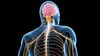 Amyotrofik Lateral Skleroz (ALS) Nedir? Motor Nöron Hastalığı Tedavi Edilebilir mi?