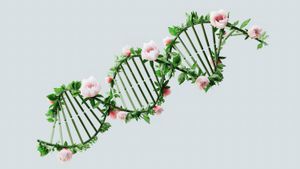 AI Model Unlocks Secrets Of Our DNA