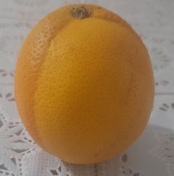 Bugün böyle bir portakal gordum bir kısmı daha açık ve yumuşak diğer kısmı daha sert ve koyu bunun bir nedeni var mıdır?