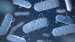 Biyoloji Deneylerinin Gözbebeği E. coli Bakterilerinin Soyu Tek Bir Bakteriye Kadar Takip Edilebiliyor!