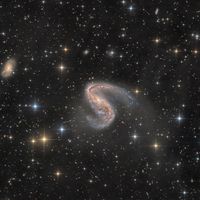  NGC 2442: Galaxy in Volans 