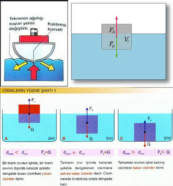 Cismin Yüzme Prensibi