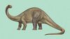 Brontosaurus Geri Döndü: Meşhur Dinozorun Gerçekten Ayrı Bir Cins Olduğu Düşünülüyor!