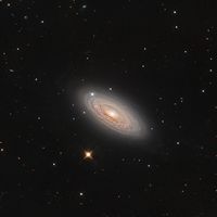  Spiral Galaxy NGC 2841 