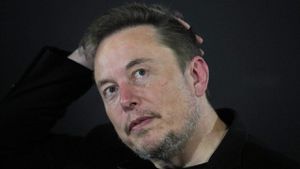 EU Challenges Musk Over Hate Speech On Starlink