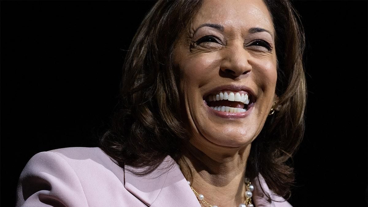 Kamala Harris Builds Momentum For 2024 Campaign The Pinnacle Gazette