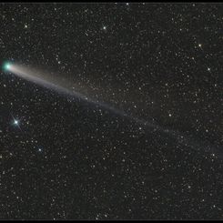  Lovejoy in the New Year 