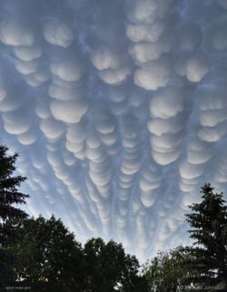 Saskatchewan Semalarında Mammatus Bulutları