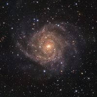  IC 342: Hidden Galaxy in Camelopardalis 