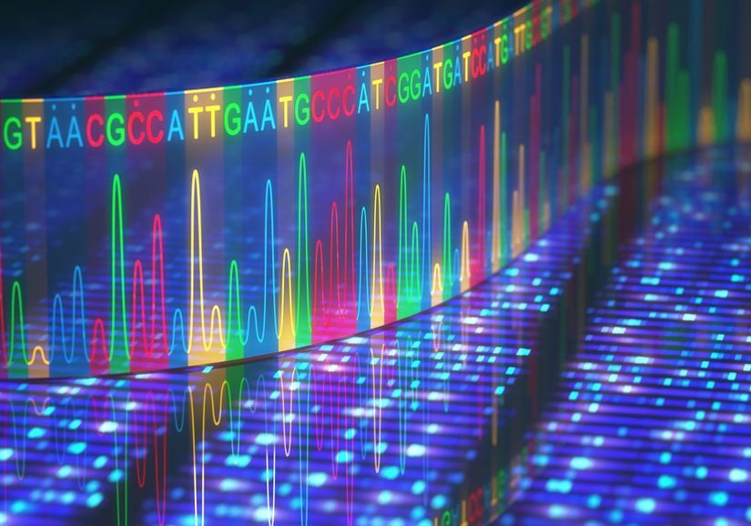 Genom dizileme için bir illüstrasyon