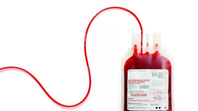 Koronavirüs Enfeksiyonu: Kimler Kan Bağışı Yapabilir?