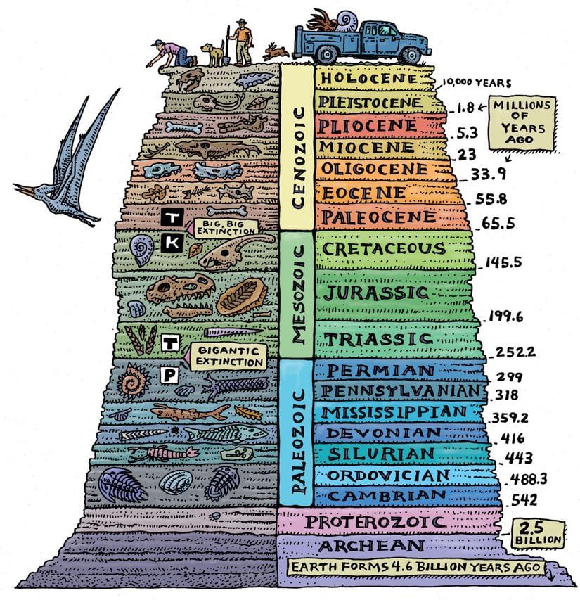 Jeolojik Katmanlar ve Fosiller...