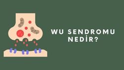 Wu Sendromu Nedir? En Nadir Hastalıklardan Biri Olan X'e Bağlı Zihinsel Gelişim Bozukluğu Tedavi Edilebilir mi?
