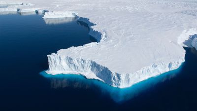 Dünya Üzerindeki Tüm Buzlar Eriseydi Ne Olurdu?
