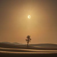  A Desert Eclipse 
